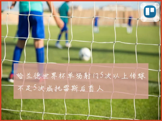 哈兰德世界杯单场射门5次以上传球不足5次成托雷斯后首人